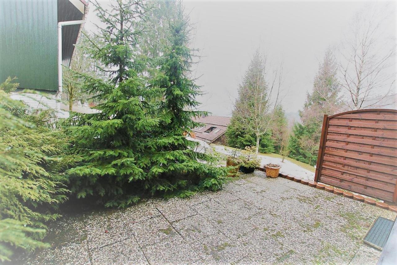 Wohnung Martin - Moderne Zweizimmerferienwohnung mit großer Süd- Westterrasse und Garage in Altenau Altenau  Exterior foto